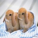 =)